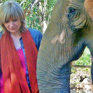 Waltraud und Elefant