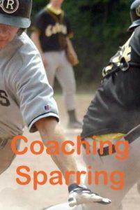 Bild Coaching Sparring